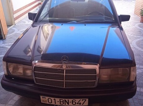 Mercedes 190 1991