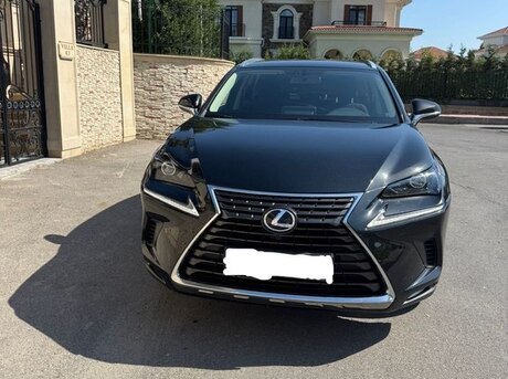 Lexus NX 200 2019