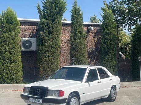 Mercedes 190 1991