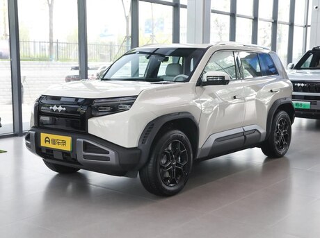 BYD  2025