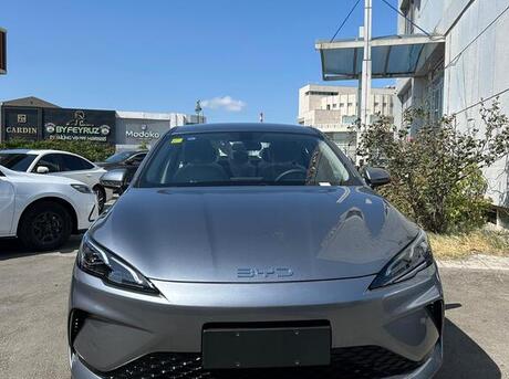 BYD  2025