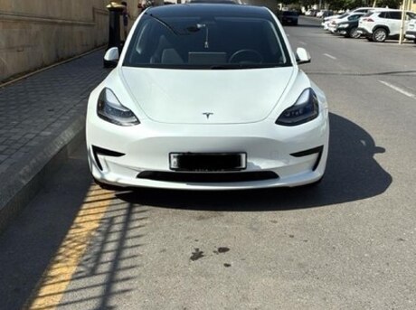 Tesla Model 3 2021