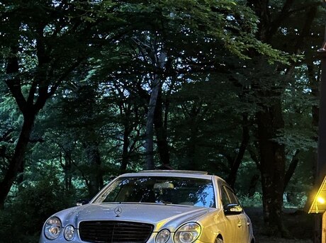 Mercedes E 320 2004