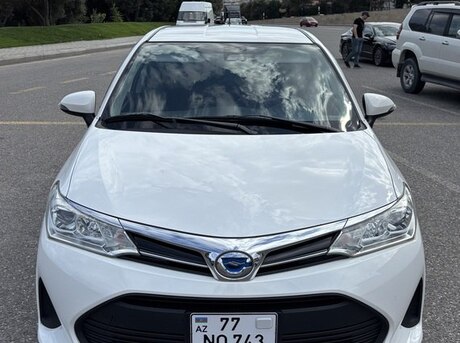 Toyota Corolla Fielder 2019