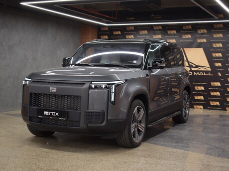 ROX (Polar Stone) 01