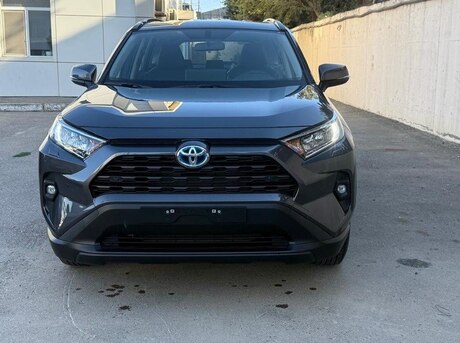 Toyota RAV4 2025