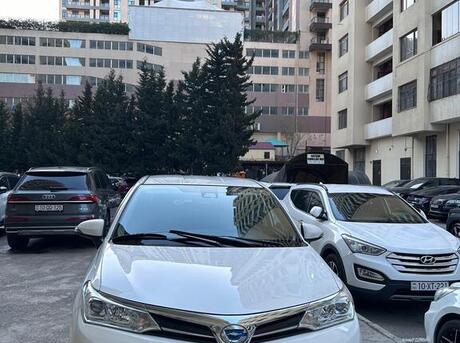 Toyota Corolla Fielder