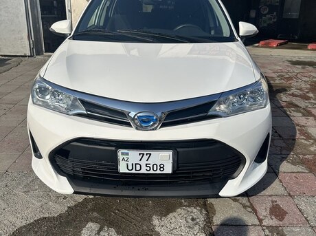 Toyota Corolla Fielder 2019