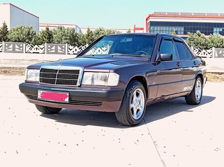 Mercedes 190 1991