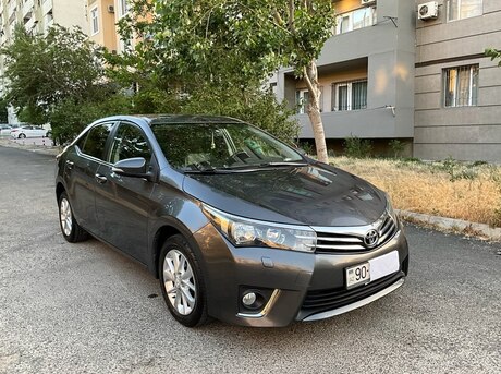 Toyota Corolla 2013