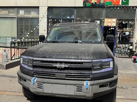BYD  2025