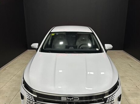 BYD Destroyer 05