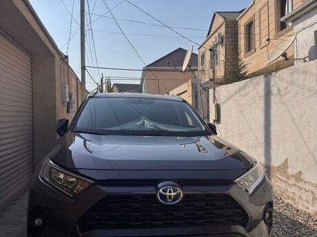 Toyota RAV4 2025