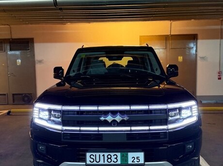 BYD  2025