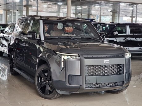 ROX (Polar Stone) 01