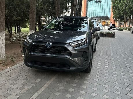 Toyota RAV4 2024