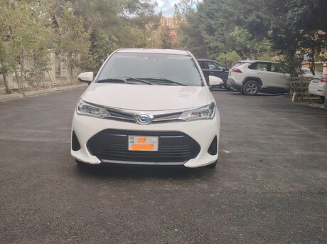 Toyota Corolla Fielder 2019