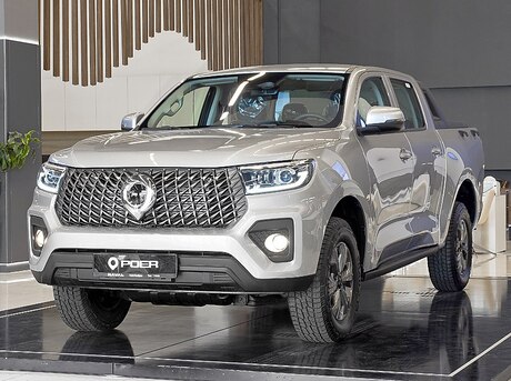 GWM (Great Wall Motor) Poer