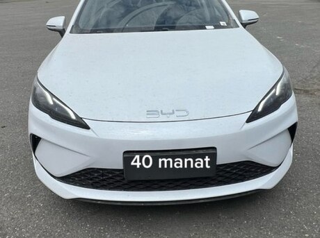 BYD  2025