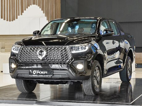 GWM (Great Wall Motor) Poer