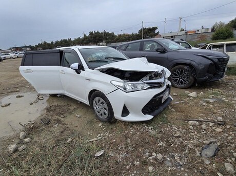 Toyota Corolla Fielder 2019