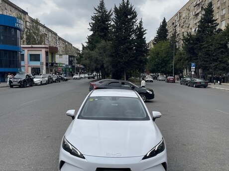 BYD  2025