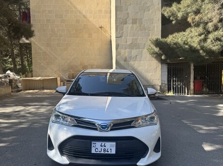Toyota Corolla Fielder 2019