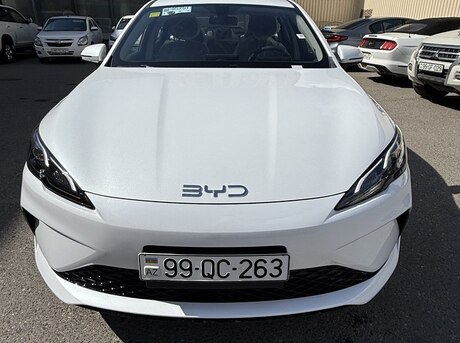 BYD  2025