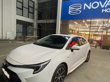 Toyota  2024