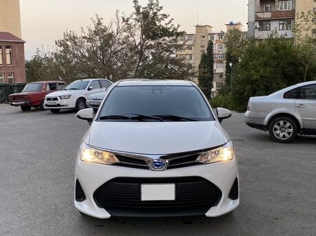 Toyota Corolla Fielder 2019