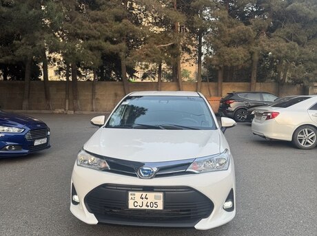 Toyota Corolla Fielder