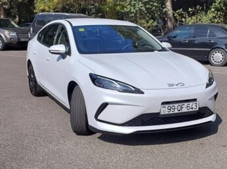 BYD  2025