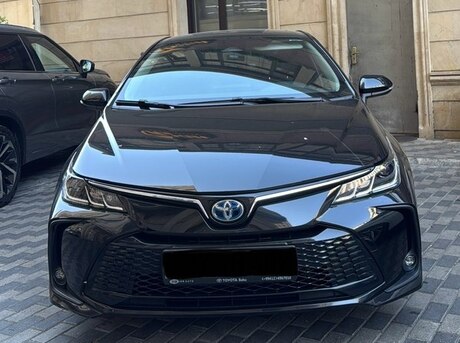 Toyota Corolla 2024