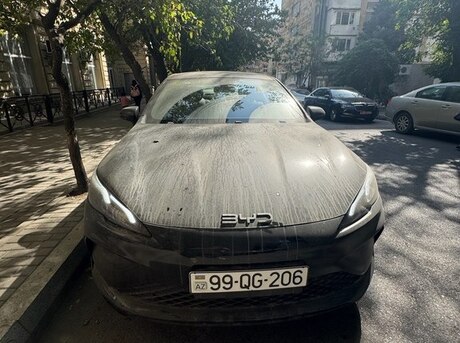 BYD  2025