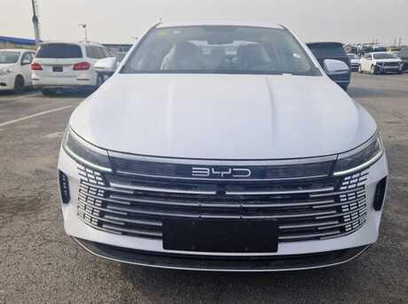 BYD Destroyer 05