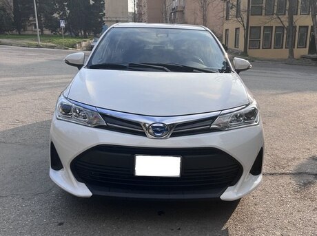 Toyota Corolla Fielder 2019