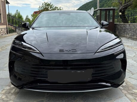 BYD  2024