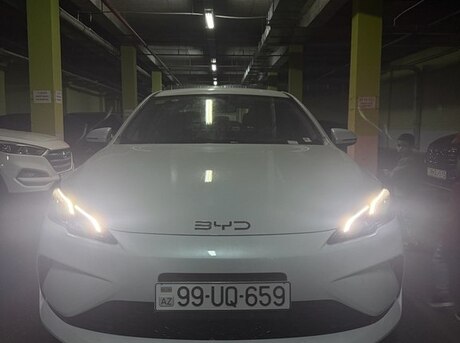 BYD  2025