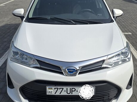 Toyota Corolla Fielder 2019