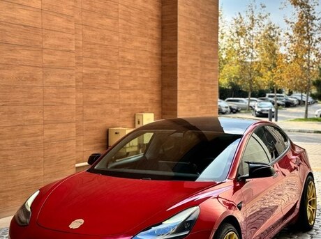 Tesla Model 3 2021