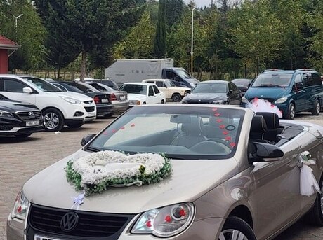 Volkswagen  2008