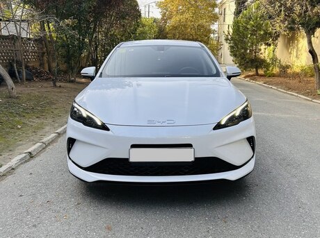 BYD  2025