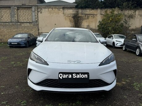 BYD  2025