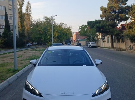 BYD  2025