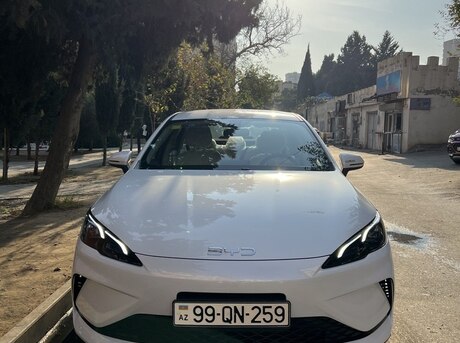 BYD  2025