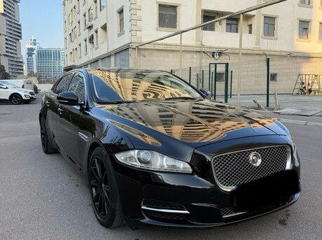 Jaguar  2011
