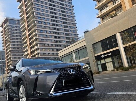 Lexus  2019