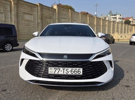 BYD  2024