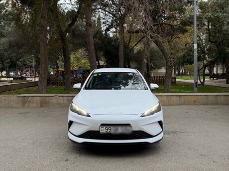 BYD  2025