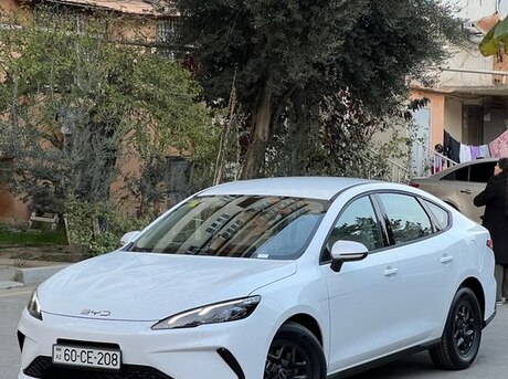 BYD  2025